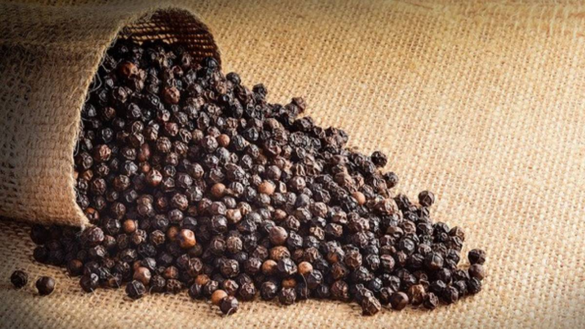 pepper